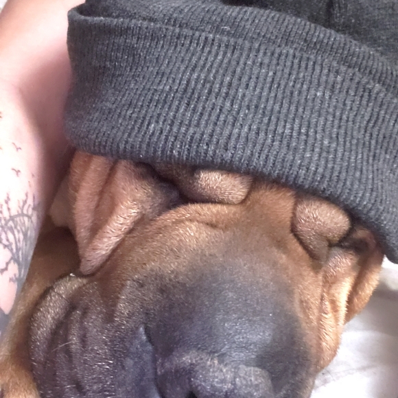 Meet your Posher, Krystal - Picture 1 of 5